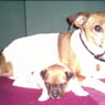 MrsDaisy2000