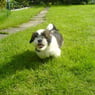 lina12