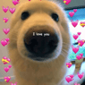 Daniboy1