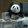 PandaEmillio