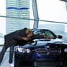 BMWCarsten23