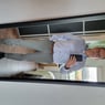 noppel