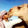 ChaosCamel