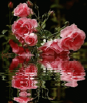 3a8277ac99c6af54fc92c8008796e006.gif