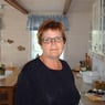 Hybenhanne