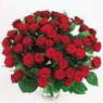 mette341972