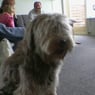 balu4ever