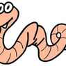 osteorm
