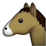 Dullemaayn