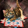 jackpot666