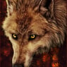 ShadowJackal666