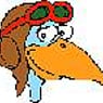duck1