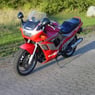 suzukiwoman