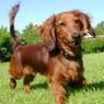 1234berit