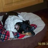 skipper2005