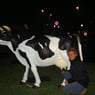 helledie2007