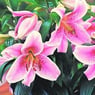 anni10