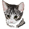 sofiecrille