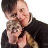 Ferret