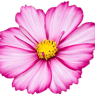 Louisea21
