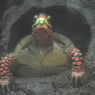 iluvturtles