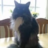 SherryCoon