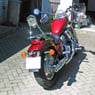 Vito100