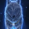 sus1909