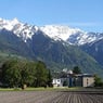BrithaLiecht