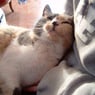 grandmamma