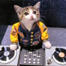 basskitty