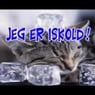 bensko
