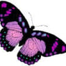 SabrinaM