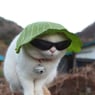 hyggeligt