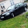 sautesven