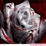 Gangell