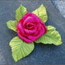rose3737