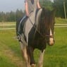 caro2810