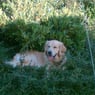 bubbi1979