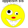 sejse10