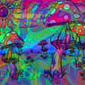 psygazm