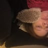 Micke1234