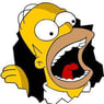 homer511