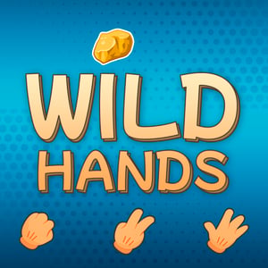 Vennekampe i Wild Hands image