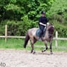 katrine1995