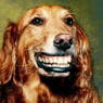 4656
