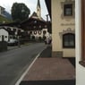 knopsvane