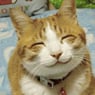 Tove58