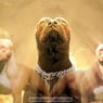 pitbull0408