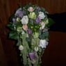 blomstertoes
